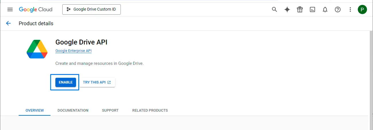 Google Drive API details